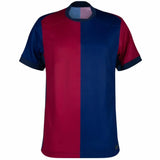 FC Barcelona Home Football Jersey Ronaldinho #10 MenÕs Blue Red Barca Shirt